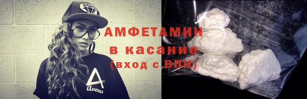 стаф Касимов