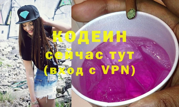 стаф Касимов