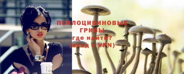 стаф Касимов