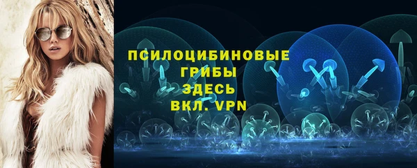 MDMA Premium VHQ Карпинск