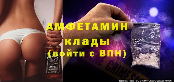 стаф Касимов